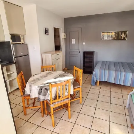 Confort A 20 M² Avec Barbecue Et Terrasse Apartment *