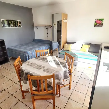 Apartment Confort A 20 M² Avec Barbecue Et Terrasse