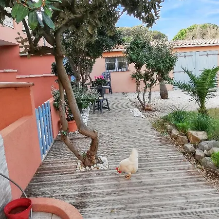 Confort A 20 M² Avec Barbecue Et Terrasse Apartment *